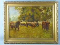 OIL ON PANEL - long horned cattle grazing before a copse of trees, indistinct artist's monogram