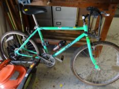 A Raleigh Lizard terrain mountain bike