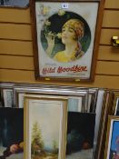 An original framed poster advert for Will's Wild Woodbine cigarettes & a parcel of framed pictures