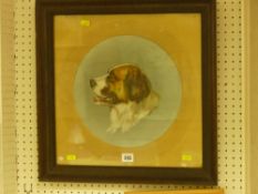 Circular framed acrylic - portrait of a dog