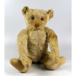 AN EARLY TWENTIETH CENTURY STEIFF TEDDY BEAR having moving limbs & head, with growler, Steiff pin
