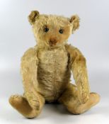 AN EARLY TWENTIETH CENTURY STEIFF TEDDY BEAR having moving limbs & head, with growler, Steiff pin