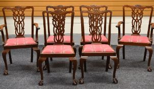 MAHOGANY DINING CHAIRS chippendale style, 4 + 2 carvers, red upholstered drop-in seats, ball and