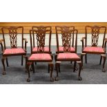 MAHOGANY DINING CHAIRS chippendale style, 4 + 2 carvers, red upholstered drop-in seats, ball and