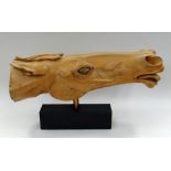 JOHN TAULBUT wood carving - study of a horse's head raised over a wooden block plinth, 69cms long
