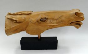 JOHN TAULBUT wood carving - study of a horse's head raised over a wooden block plinth, 69cms long