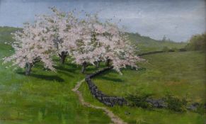 LILY McENTEE BROWN (Canadian) oil on canvas - blossoming trees in a landscape, 31 x 50cms