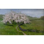 LILY McENTEE BROWN (Canadian) oil on canvas - blossoming trees in a landscape, 31 x 50cms