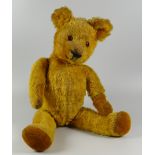 AN ENGLISH GOLDEN PLUSH early twentieth century teddy bear with moving limbs & head, glass eyes,