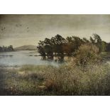 SIR JOHN EVERETT MILLAIS Burlington Proof Print - wetland landscape with birds entitled 'Chill