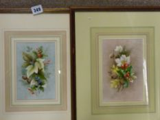 Early 20th Century English School watercolours, a pair - studies of Christmas flowers and holly etc