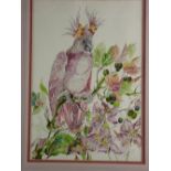 KATHERINE ROLFE pen and watercolour - study of a parakeet perched on a leaf branch amongst flowers