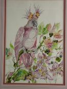 KATHERINE ROLFE pen and watercolour - study of a parakeet perched on a leaf branch amongst flowers