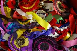 SHIRE HORSE SHOW ROSETTES - a large quantity within a vintage suitcase, mostly 1990s and 2000s