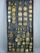 SHIRE/HEAVY HORSE BRASSWARE - a 4ft display board mounted with single and multi-brass martingales