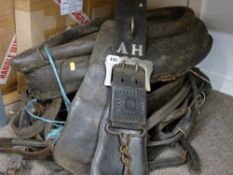 Shire/heavy horse harnessing and leather tack including two small collars