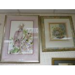 CATHERINE ROLFE framed pen and watercolour study - a parakeet and a mixed media - still life study