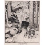 Strödel, G. A. um 1900.Aus der Sammelmappe Waldleben "Waldeinsamkeit". Passepartout, hinter Glas. H: