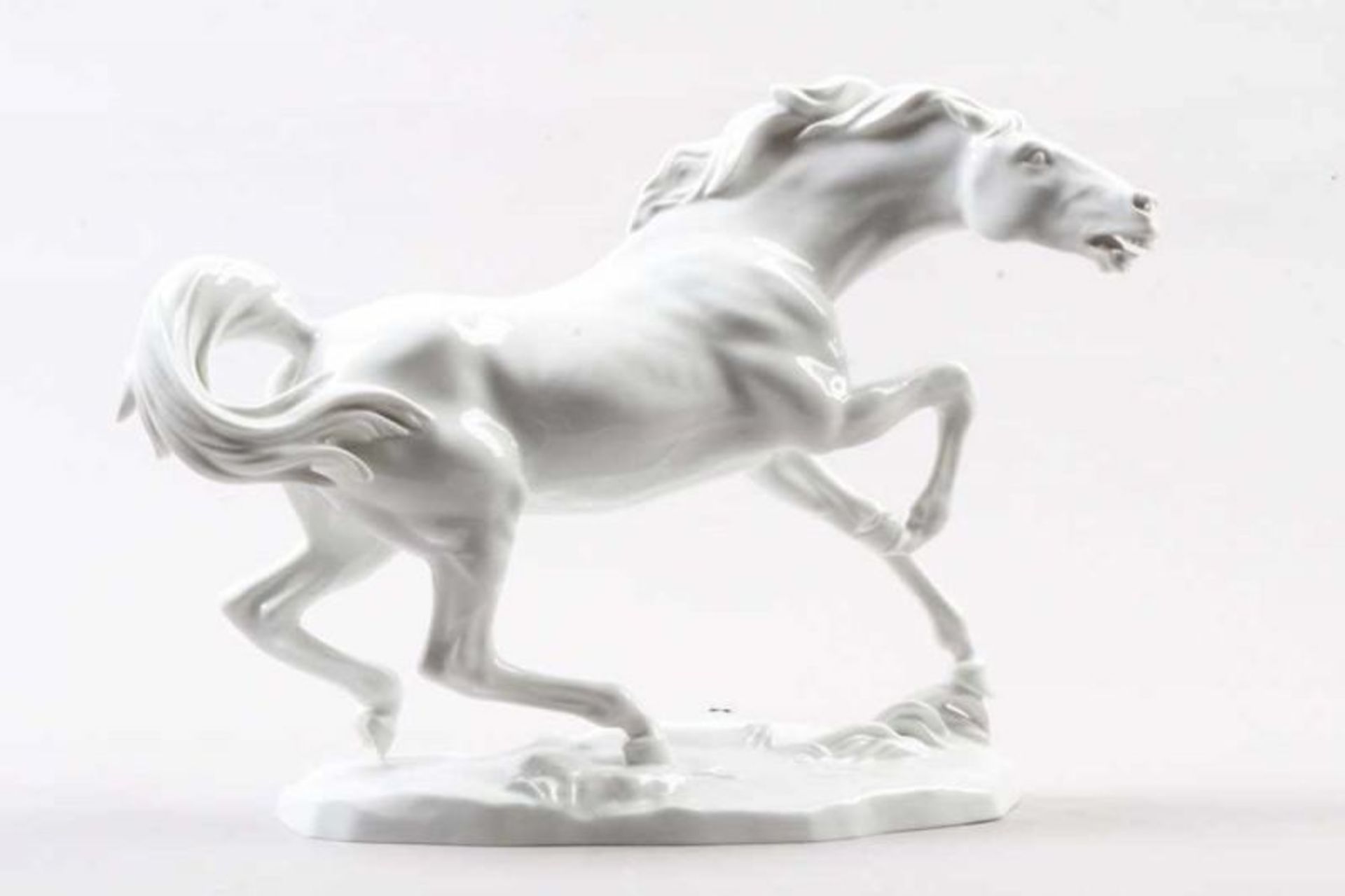 Porzellanfigur.Wien- Augarten. 20. Jh. Porzellan, weiße Glasur. Rasendes Pferd auf flachem Sockel.