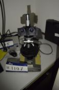 Olympus Binocular Microscope, with light source