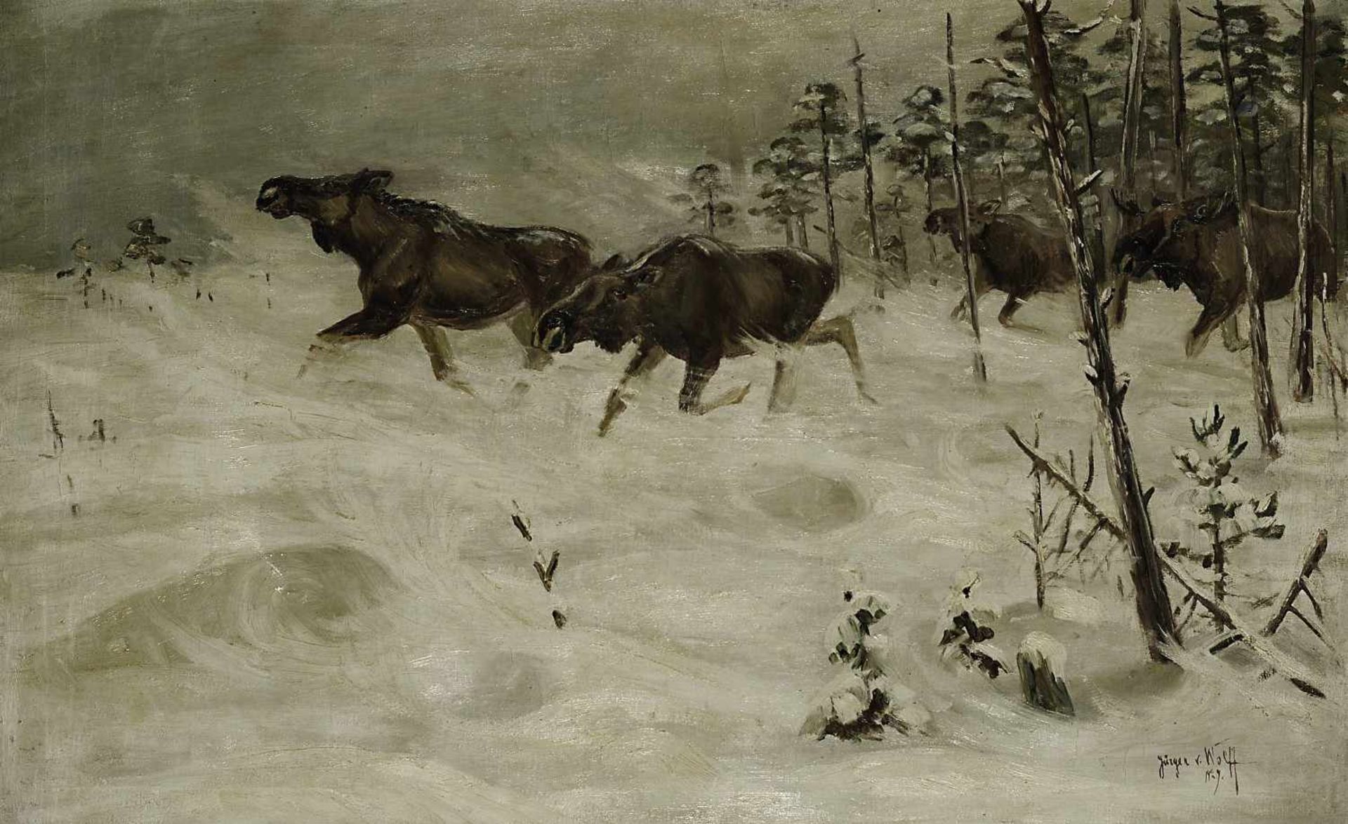 Wolff, Jürgen Freiherr von 1899 Riga - 1975 Lüneburg Elche im Schnee Öl / Lwd. 63 x 100 cm R. u.