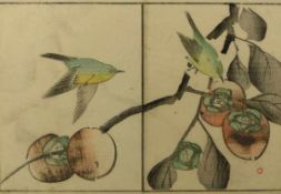 Zwei Vögel auf einem Ast mit Früchten Japan, um 1835 Farbiger Buchholzschnitt. Ca. 21 x 31 cm; ger.