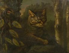 Siegler, W. Katze bei der Vogeljagd (Tiermaler des 19. Jh.) Öl/Lwd. Verso bez. und dat. "N.d.N. v.