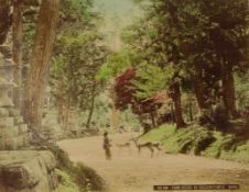 Album mit 57 Fotos Japan, um 1900 Großformatige, nachkolorierte Abzüge mit Landschafts-,
