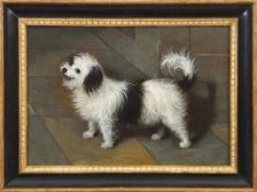 Französischer Meister um 1800 Bildnis eines schwarz-weißen Schoßhunds Öl/Lwd., doubl. Verso