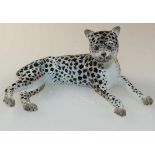 Liegender Leopard Meissen, 18./19. Jh. Porzellan mit naturalistischer Staffierung. L. 12 cm.