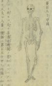 Naturwissenschaftliche Abhandlung Japan Buch mit einfarbigen Holzschnitten, meist Text mit