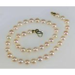 Perlenkette 20. Jh. Umlaufend cremeweiße Akoja-Zuchtperlen (Ø 7,5-8 mm) von schönem Lüster,