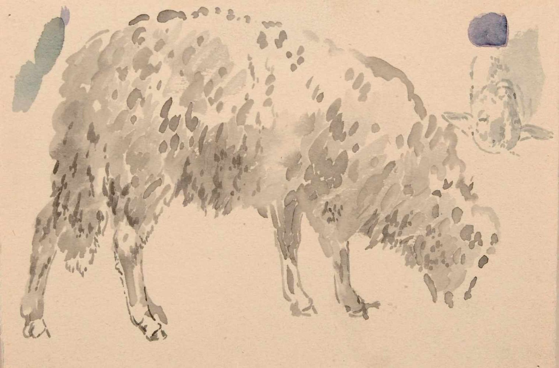 Oscar von Alvensleben, Zehn Tierstudien. 1870er Jahre. Bleistiftzeichnungen sowie ein Aquarell auf - Bild 6 aus 6