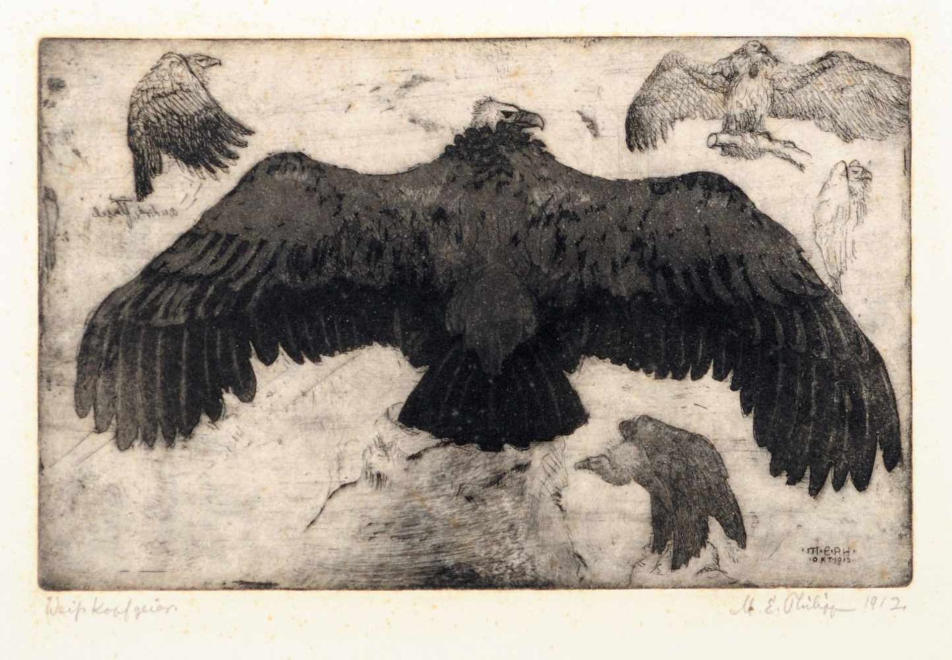 Martin Erich Philipp (MEPH) "Weißkopfgeier". 1912. Radierung auf kräftigem Papier. In der Platte u.