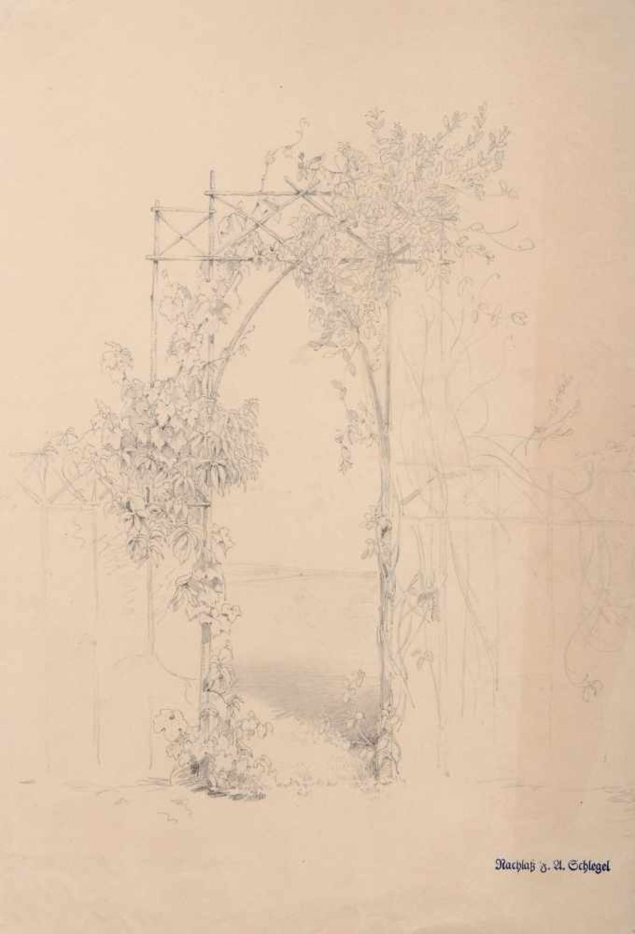Friedrich August Schlegel, Berankte Gartenpforte. 2. H. 19. Jh. Bleistiftzeichnung auf bräunlichem