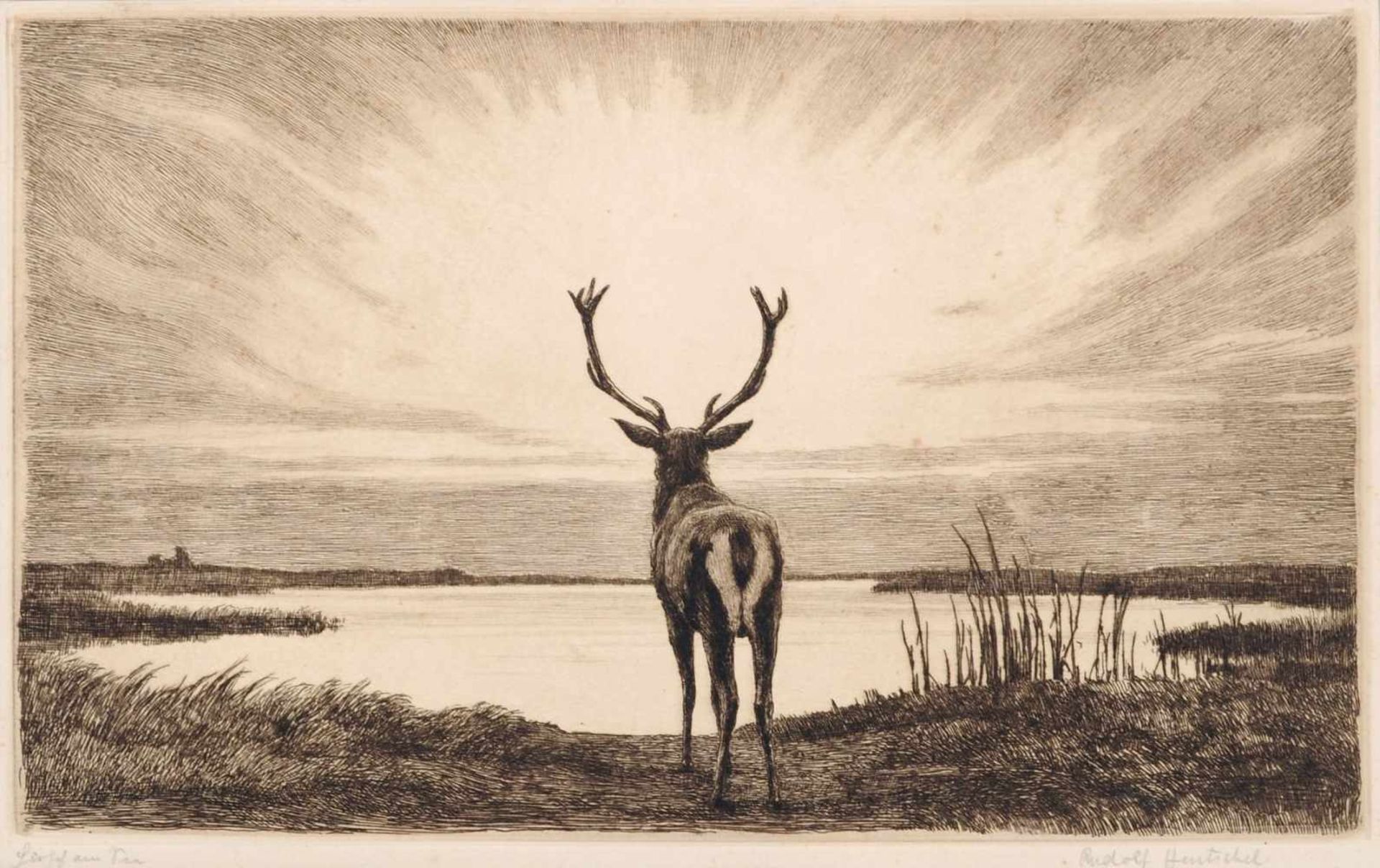 Hans Rudolf Hentschel "Hirsch am See". Anfang 20. Jh. Radierung in Braun auf kräftigem Papier.