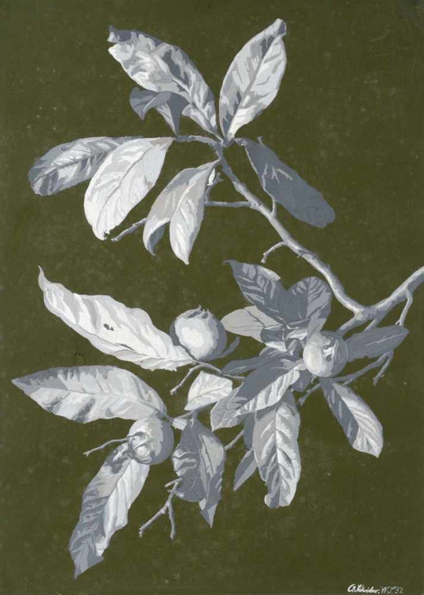 Oskar Schröder, Wiesenblumenstrauß / Mispelzweig. 1894/1895. Gouachen in Weiß- und Grauabstufungen - Bild 2 aus 2