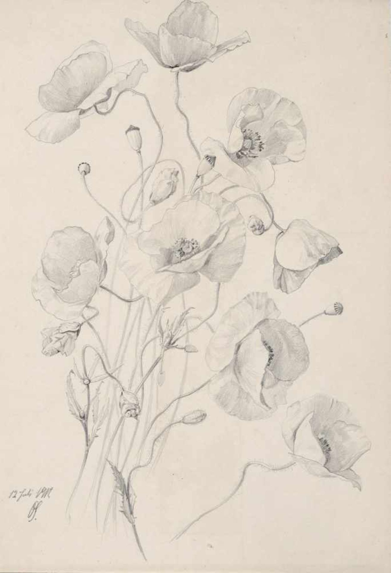 Oskar Schröder, Klatschmohn / Lilien / Wildblumenstrauß . 1894 -1912. Bleistiftzeichnungen auf - Bild 2 aus 3