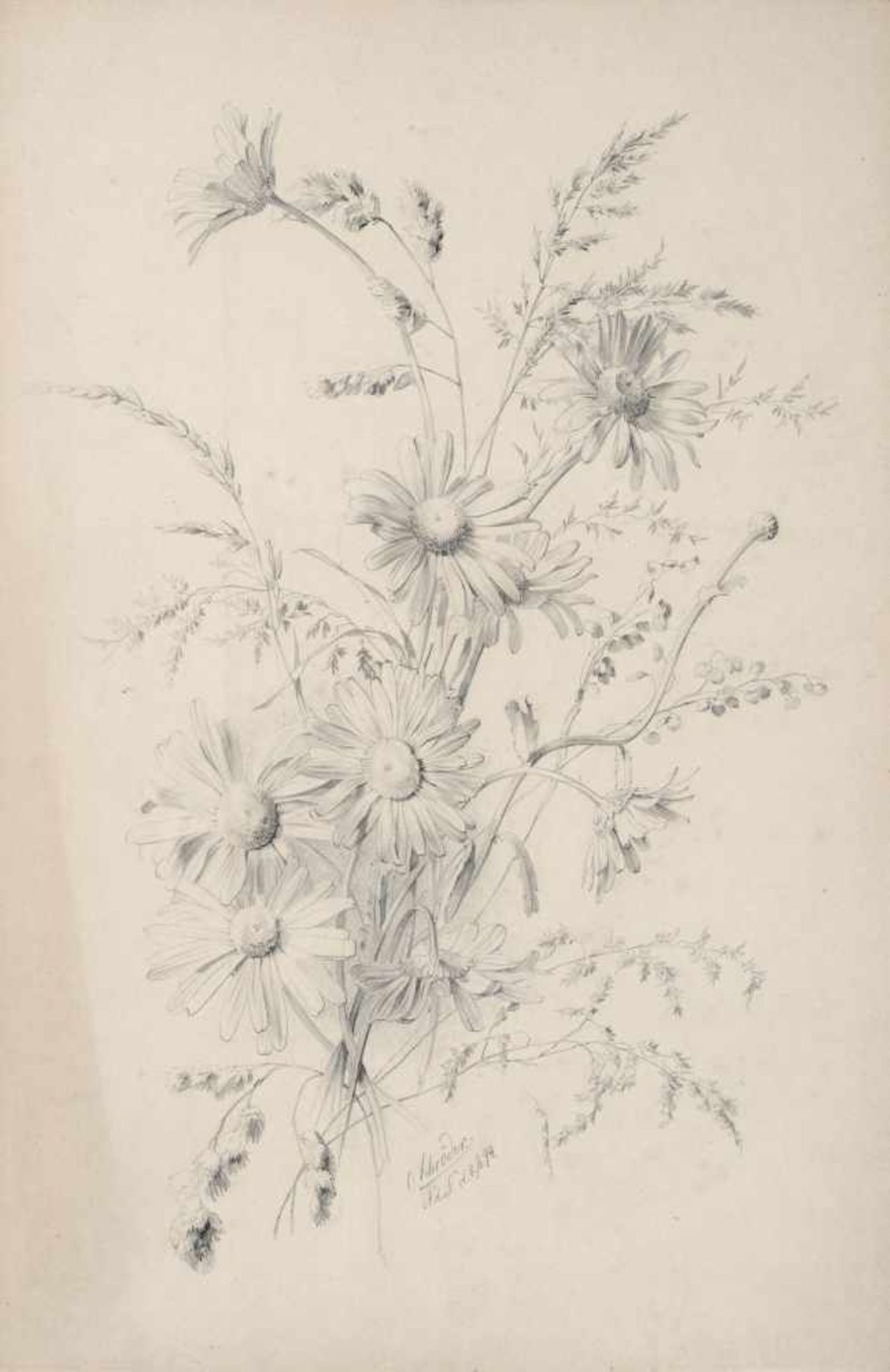 Oskar Schröder, Klatschmohn / Lilien / Wildblumenstrauß . 1894 -1912. Bleistiftzeichnungen auf - Bild 3 aus 3
