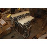 Conveyor - Double Belt Conveyor, 30 in. Length/20 in. Length, SS Base