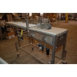 Conveyor - Believed Air Operated Belt Conveyor, 16 in. Wide x 72 ft. Length, SS Work End, SS Drip