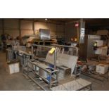 Unitherm Food Systems Automatic Boot washer, SS Design, 92 in. x 45 in. Floor Space, Note -