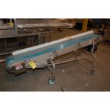 Conveyor - Roller/Motorized Belt Conveyor, 16 in. Wide Belt x 102 in. Length, Mounted on 4-Caster