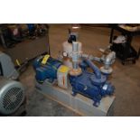 Squire-Cogswell Model #215C14TM Type CDS Pump w/15 HP Motor, 208-230/460 Volt, Poly Holding Tank