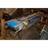 Conveyor - Motorized Roll/Belt Conveyor, 10 in. Wide Belt x 120 in. Length, SS Frame/Base