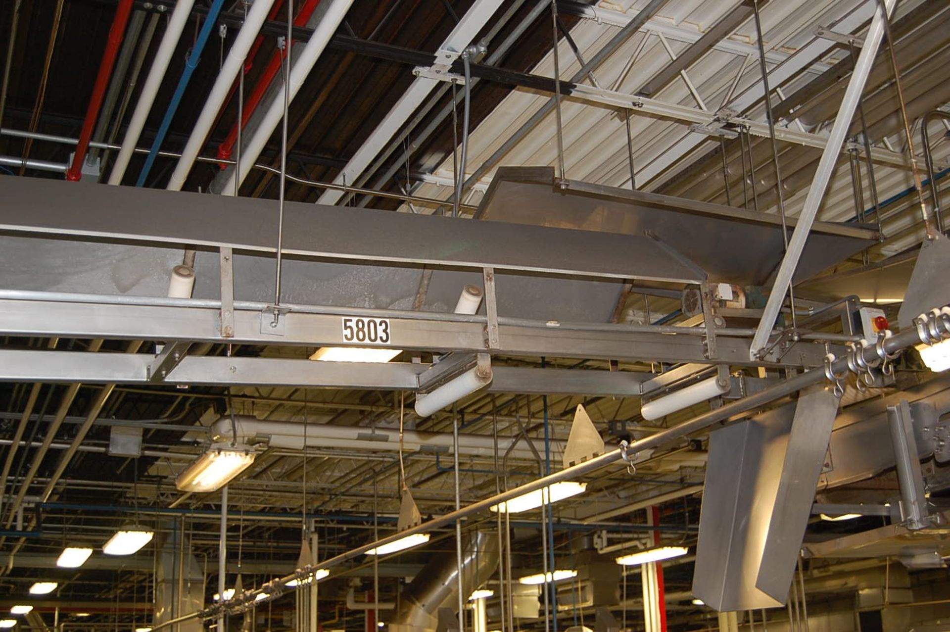 Conveyor - Motorized SS Conveyor, Approx. 30 ft. Length x 20 in. Wide, 208-230/460 Volt Motor, - Image 3 of 3