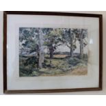 A Watercolour: View of harvest and distant village through four ancient beech trees, 20th Century.