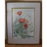 Christine Twinem (Ireland, 20th/21st Century, Poppies, a watercolour, signed l.r., and glazed within