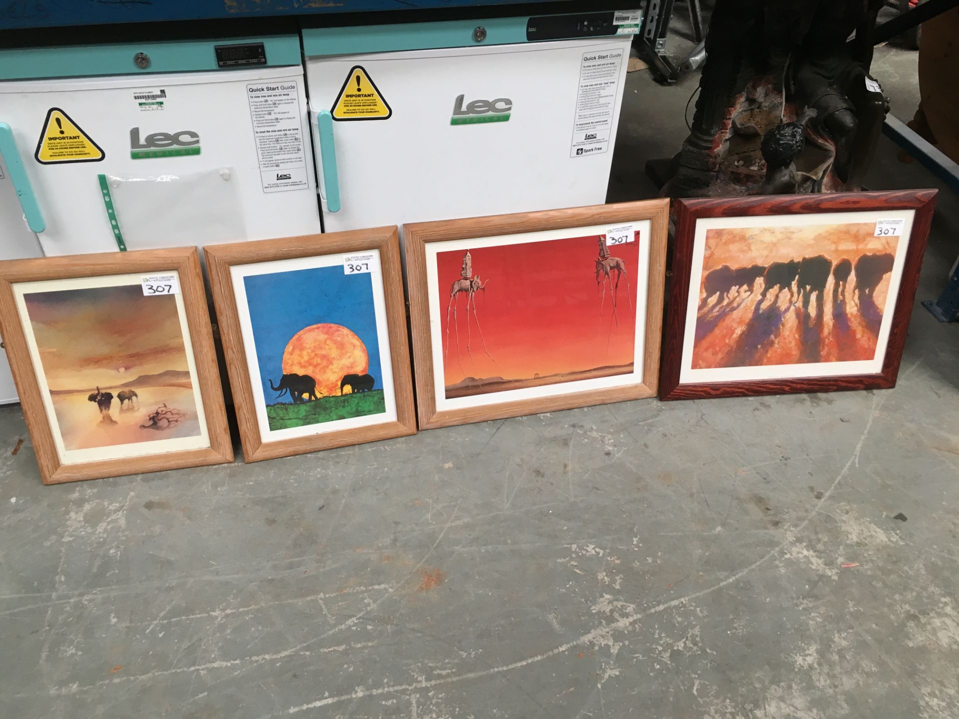 4 x Framed Elephant Pictures