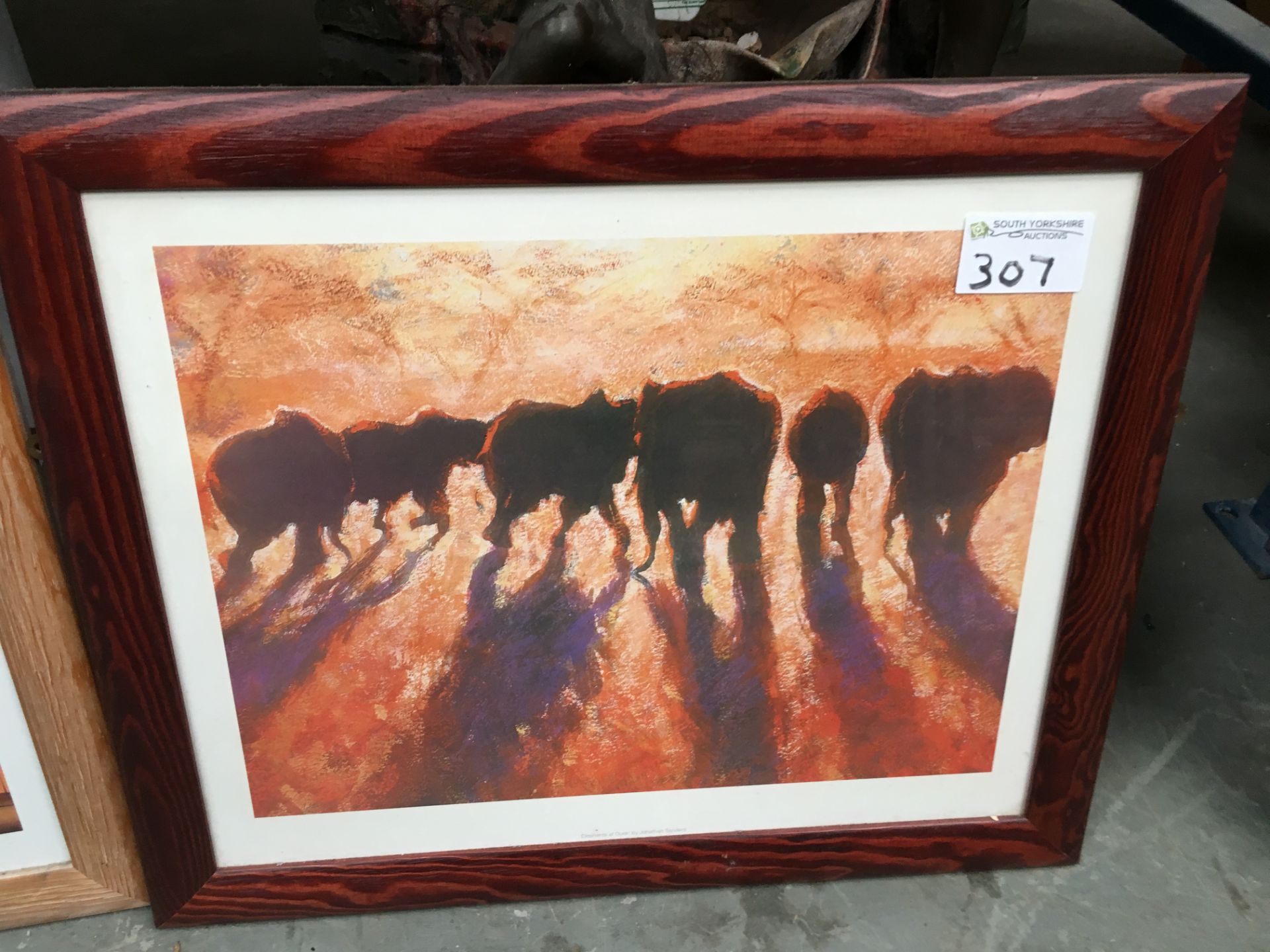 4 x Framed Elephant Pictures - Image 5 of 5